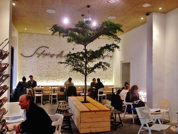 Plants, trees and planters indoor in Hotel, Lobby, Gastronomy, Poland and Europe buy online