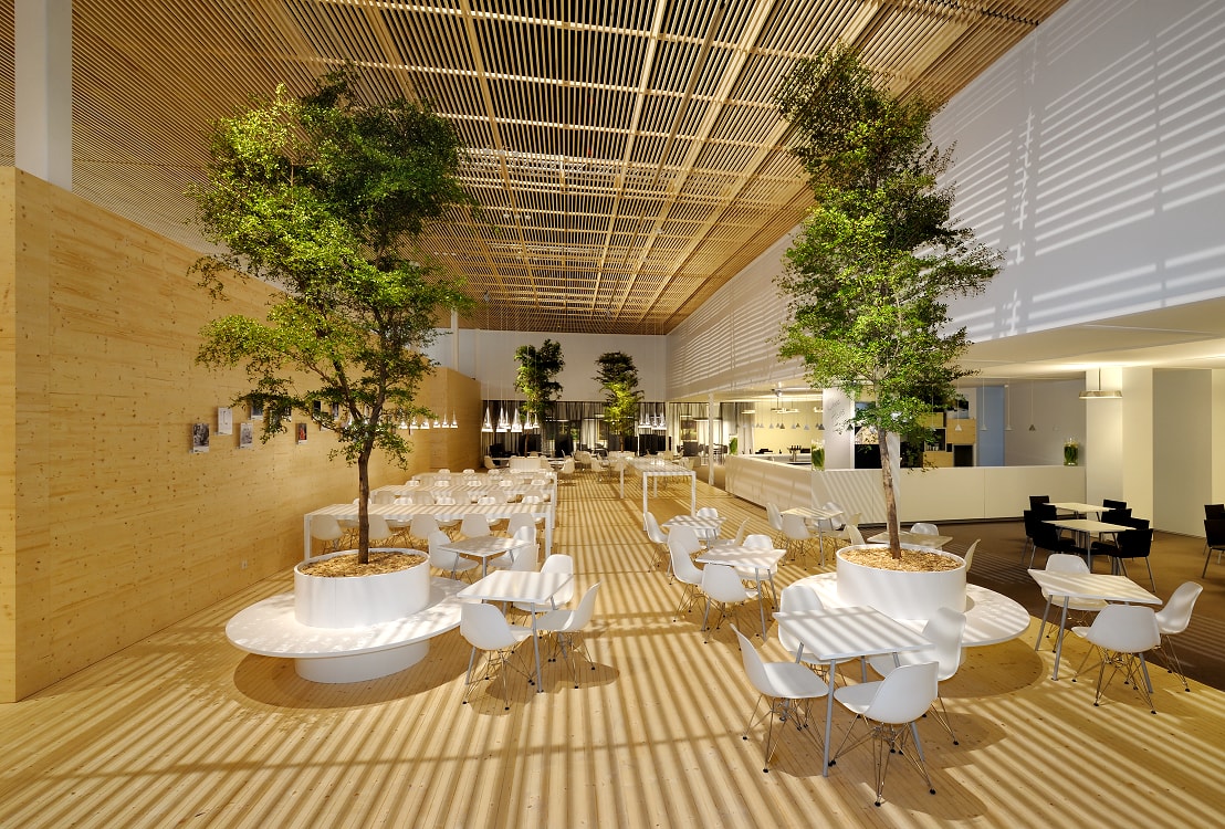 Plants, trees and planters in Hotel, Lobby, Gastronomy, Germany and Europe buy online