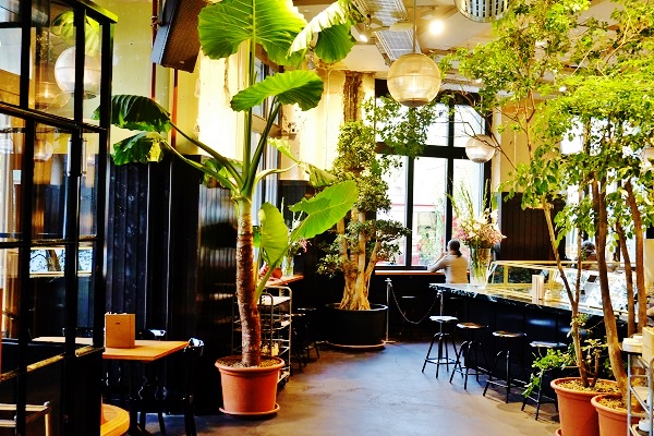 Plants, trees and planters indoor in Hotel, Lobby, Gastronomy, Switzerland and Europe buy online
