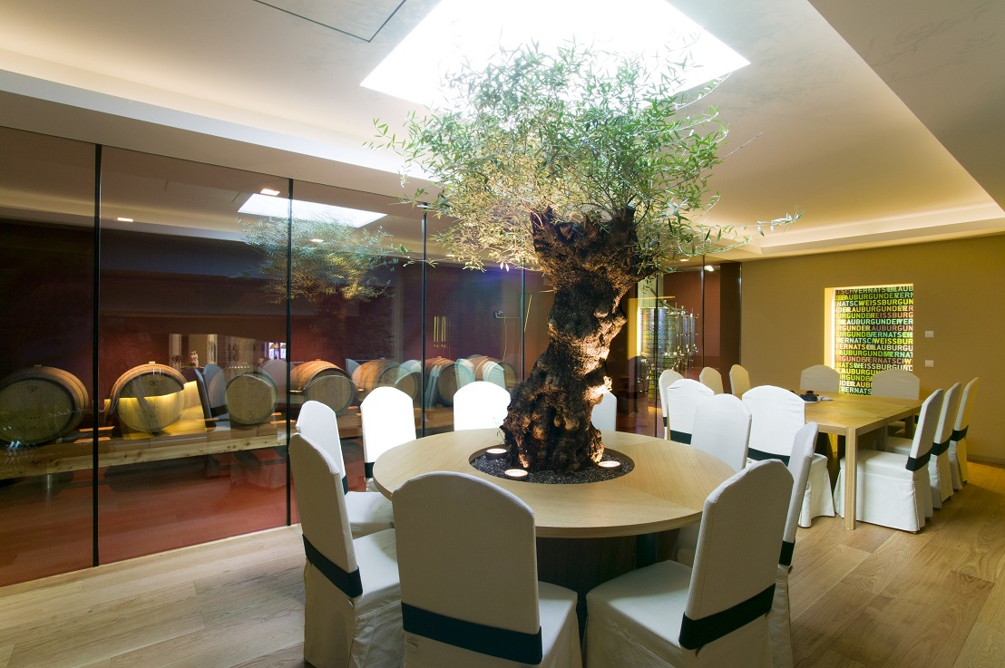 Plants, trees and planters indoor in Hotel, Lobby, Gastronomy, Italy and Europe buy online