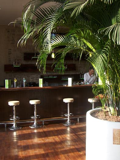 Plants, trees and planters indoor in Hotel, Lobby, Gastronomy, Luxembourg and Europe buy online